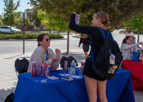 Wellness Fair
