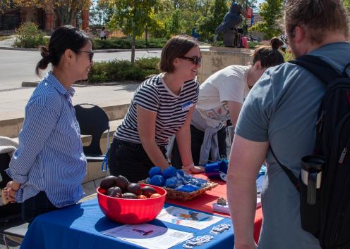 Wellness Fair